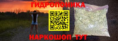 крисы Краснознаменск