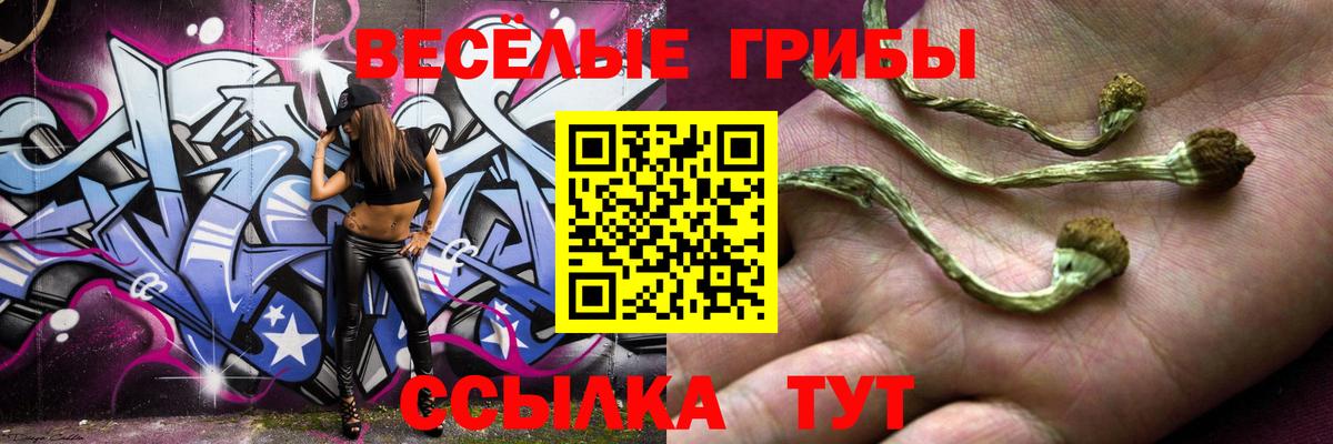 Кировск  Псилоцибиновые грибы Magic Shrooms  Вход с VPN  Галлюциногенные грибы GOLDEN TEACHER 
